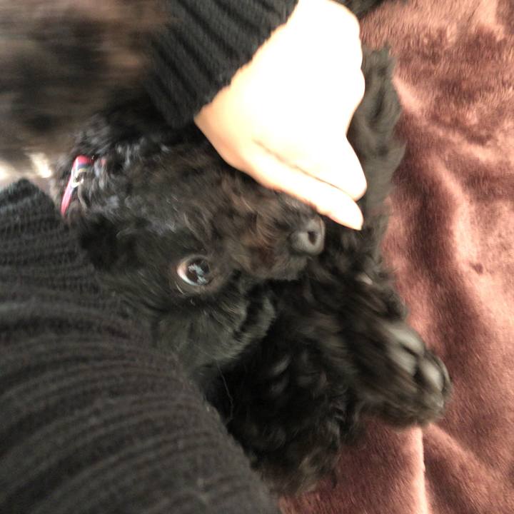 906e78a3 22c7 4959 ab0d b90185ed3d34 1540858196673