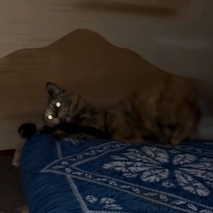 906e952b b26e 4dff be84 a3151a3553fc 1768855049901