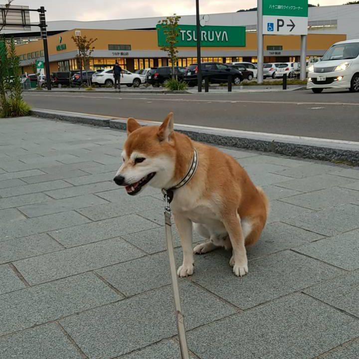 906f1949 9328 4a81 8951 399325798241 1533632115070