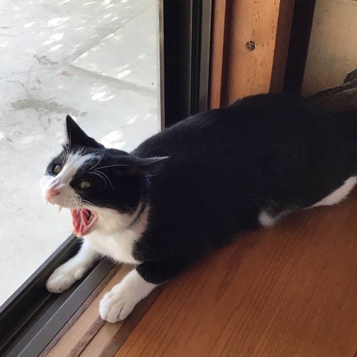 906f3182 bc11 4264 9882 0cb268f0dba1 1753781063769