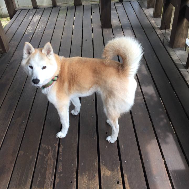 906f342f 9944 4997 be2a 1f44c4bb81da 1556684014329