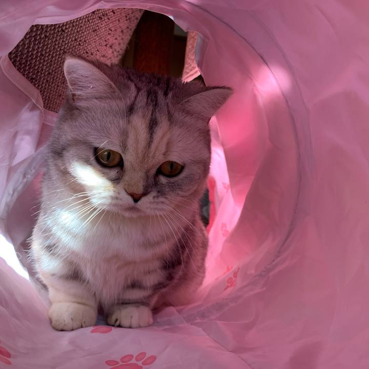 906f5756 f82b 4958 9c28 b7e863bdcefc 1709421629657