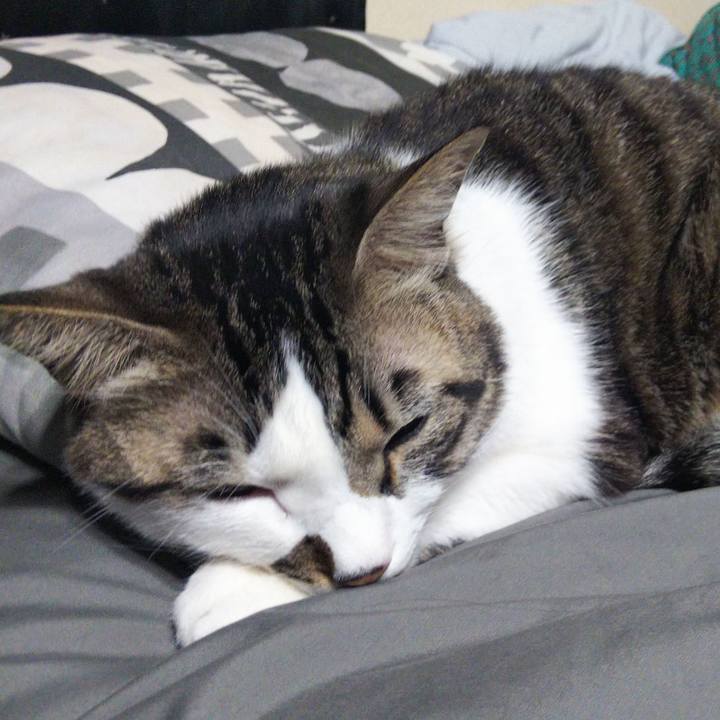 906f6f1a 90bb 4037 8e3b cf484484ca87 1642370567733