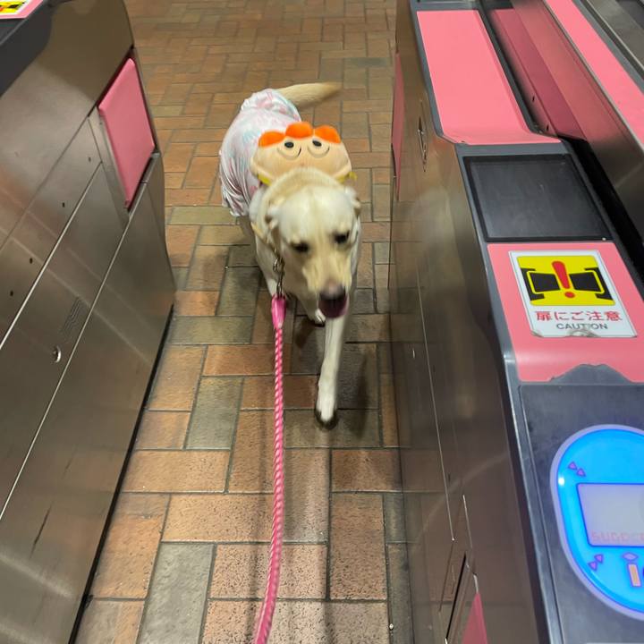 906f75a1 628d 4360 b8a2 758f770257b2 1662763201466