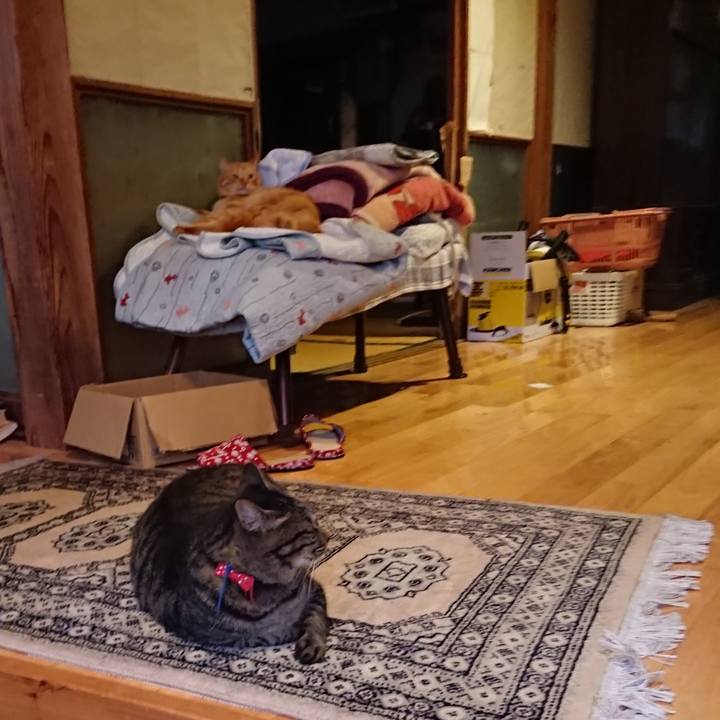 906fb4d1 fc26 4924 8eff e86038199fe6 1660646304933