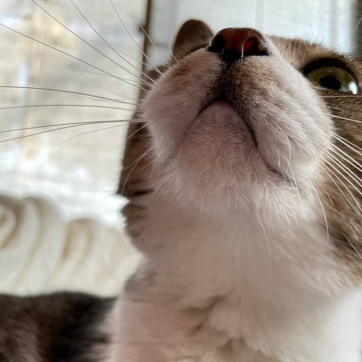 906fbe45 c71d 4707 a1e2 7a4cd9292e07 1633742457976