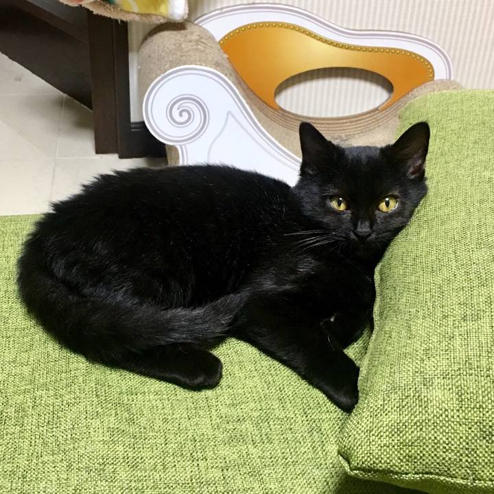 906fdebc 6474 4af9 ada8 c648aefecb42 1541896420653