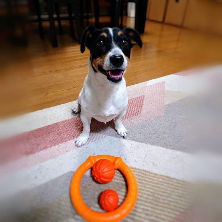 90701cfe 4c8a 4c06 806c 9df113ebf853 1691668002324