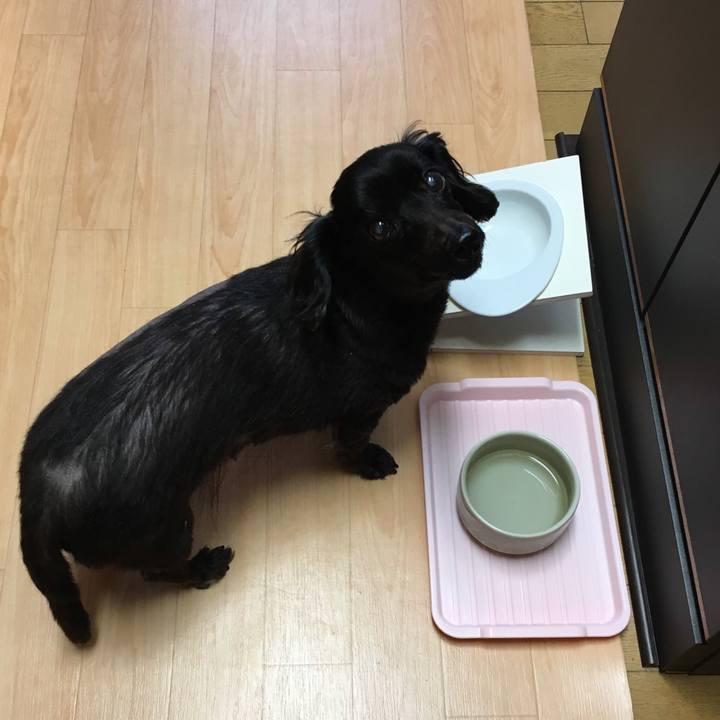 907051e4 46fb 402c 8923 cc9e8617ecbd 1552345000443