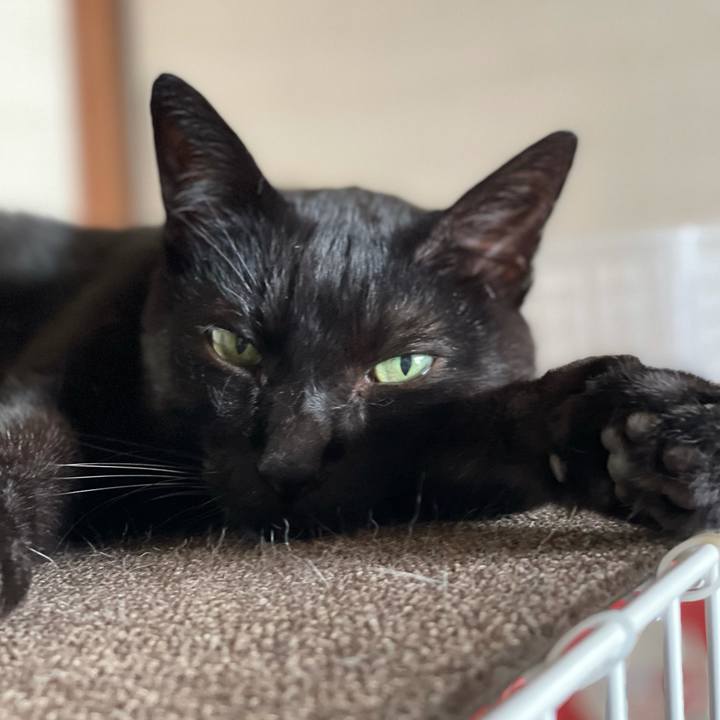 9070af53 0c99 4384 9715 6b57e6414fcb 1633657244649