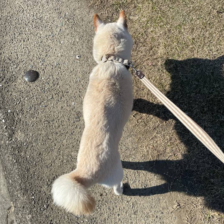 9070eed1 eb00 413d 862e 064bcf12ce78 1640788172470