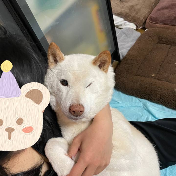 9070f4e2 c8e7 4022 8110 83b6bcbc7699 1636700690333