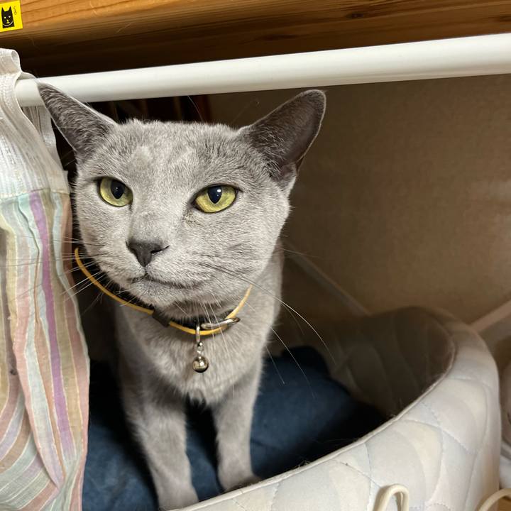 90711668 3d96 4b1a 9346 0193cc56a490 1644662294873