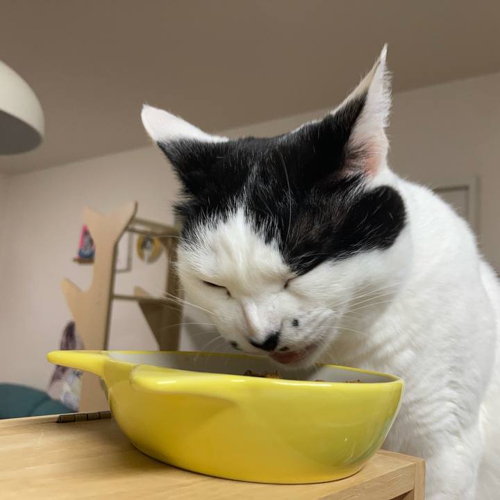 90717d09 bf61 4b70 bfc0 700b7853c1b9 1772744786767