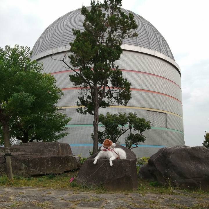 90718fec 94e9 401b be08 253929aa09b9 1603884198527