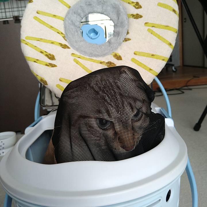 9071b9b0 d10d 4a4d a8ed e3f48fb79d72 1691821443929