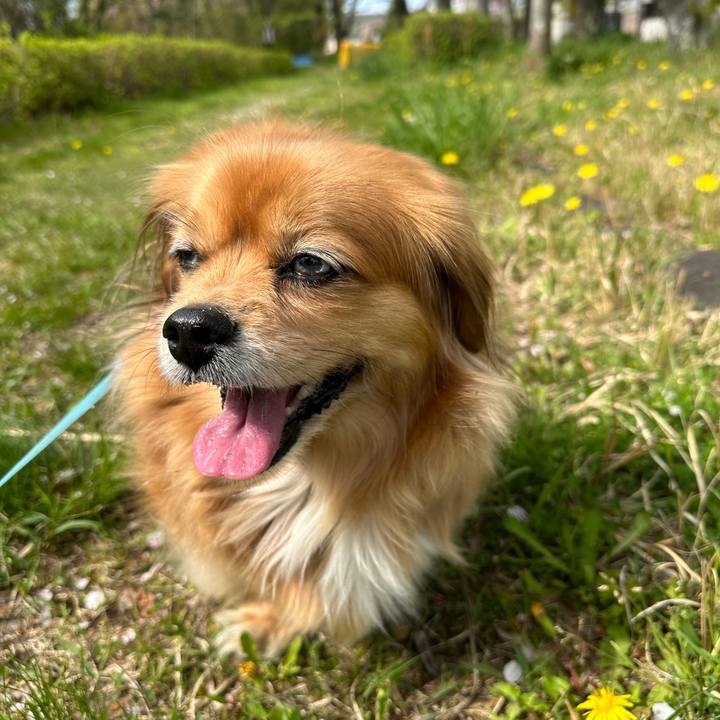 9071d4db a53e 4808 a412 17a2e5608be2 1712969727020