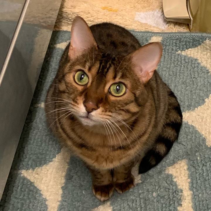 9071d9a2 8769 4b34 a1f8 aff40c22dff0 1555983544371