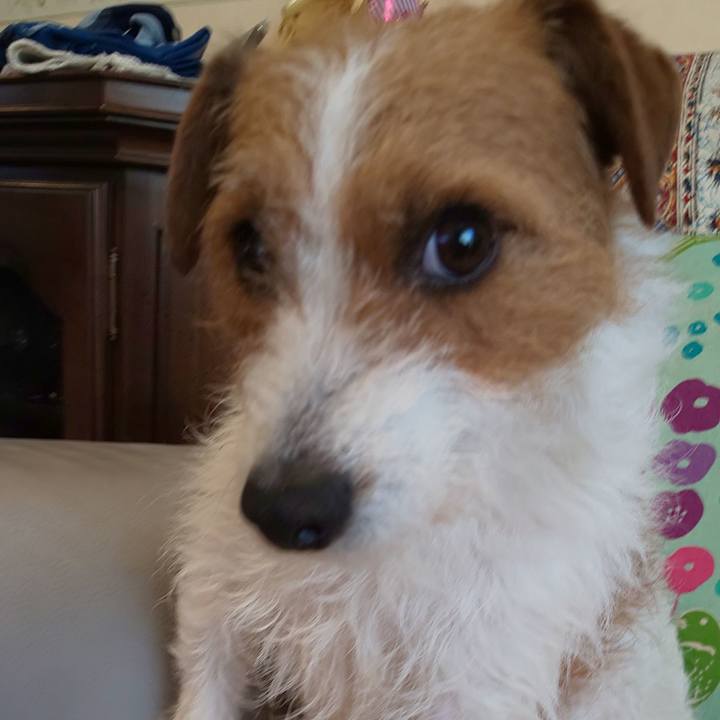 9071ff66 edf9 4370 8076 754aaedae0ec 1585866535167