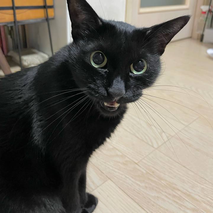 90720449 7e03 409f ac8a 477f67b9dca9 1666961812633