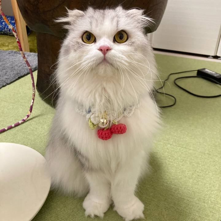 907225d2 a866 4855 a57a 096ca1f9b051 1658691013876