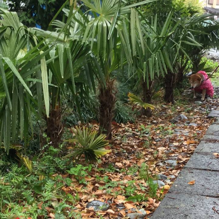 90729b41 3df3 433f b6ce 6bfaf4a0de94 1587369808564