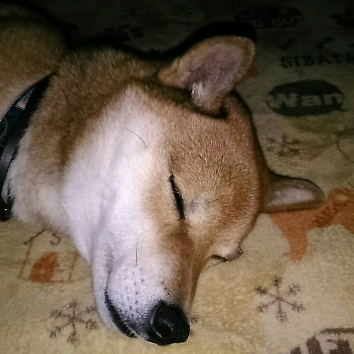 9072a738 cab9 4a1f 8d42 698ce724de0d 1575027762774