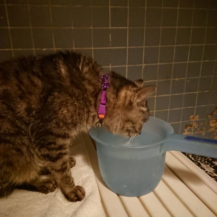 9072d09d a911 4546 8f8f bc055260817f 1584006508972