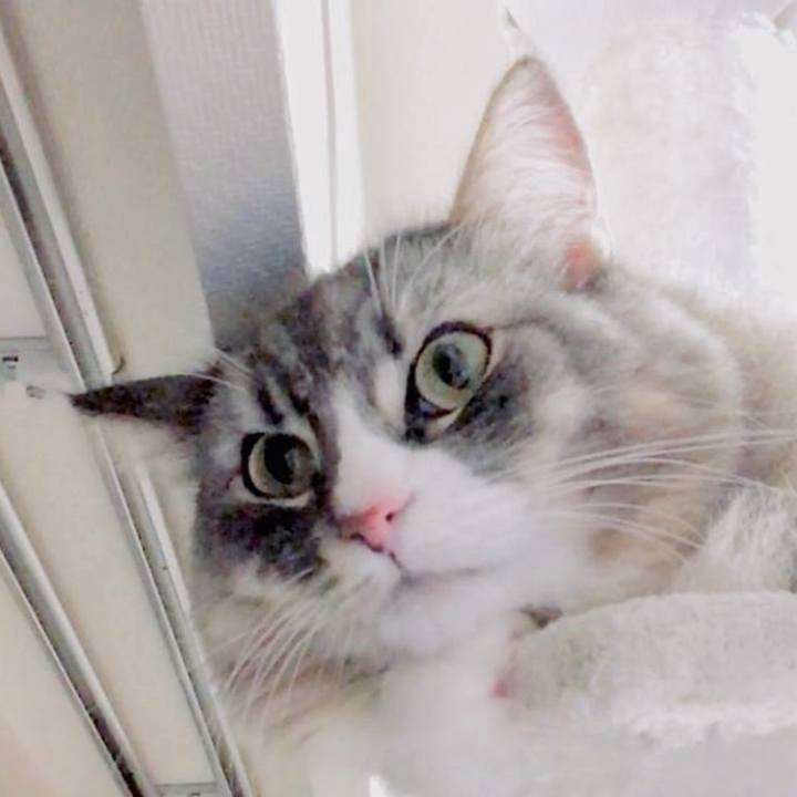 9072fd70 040a 40e4 9471 9d0b821f238c 1751730649836