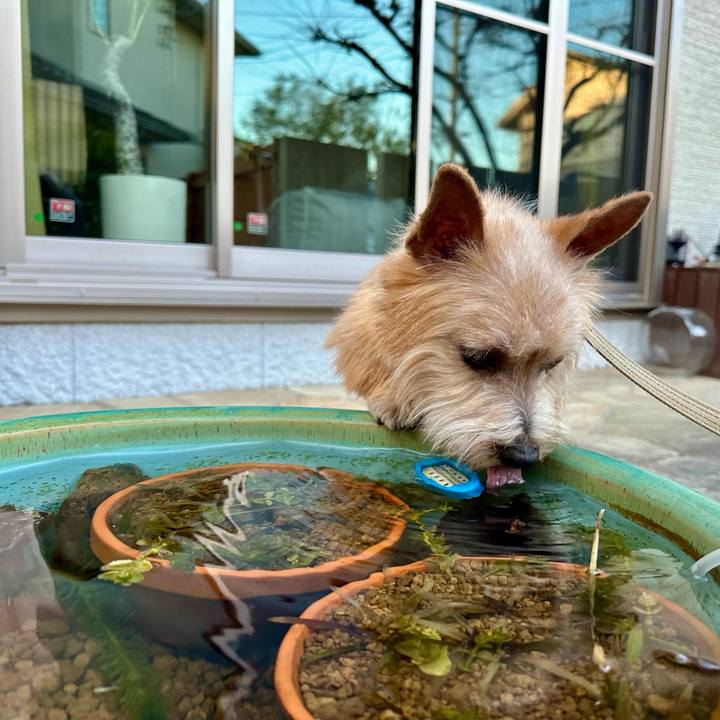 907302ae 6305 48e4 a0b0 5e85212daac1 1710082238793