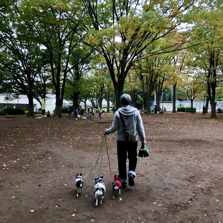 907339fc 63a5 456e 8503 ad6170e0896a 1509169181687