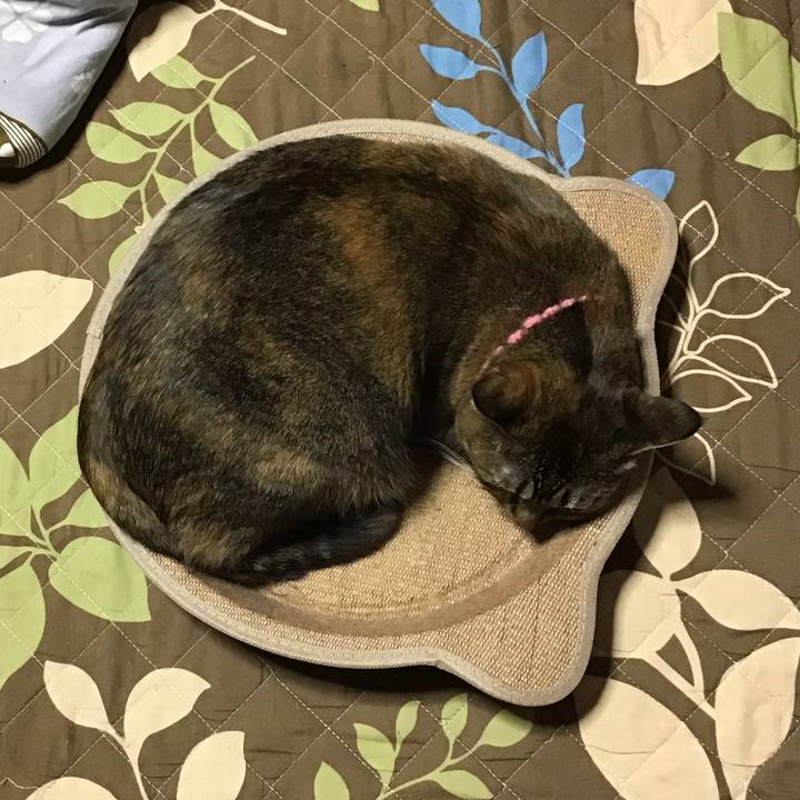 9073423d a833 4256 bf9e b396d69594df 1731921943744