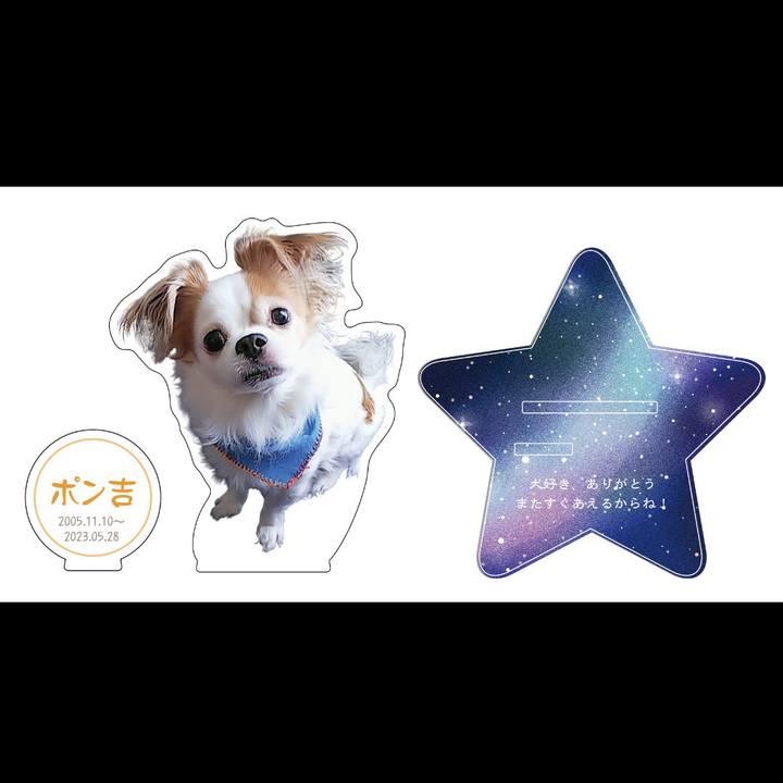 90735405 f3f4 40b0 b3a5 561194490a25 1686287063469