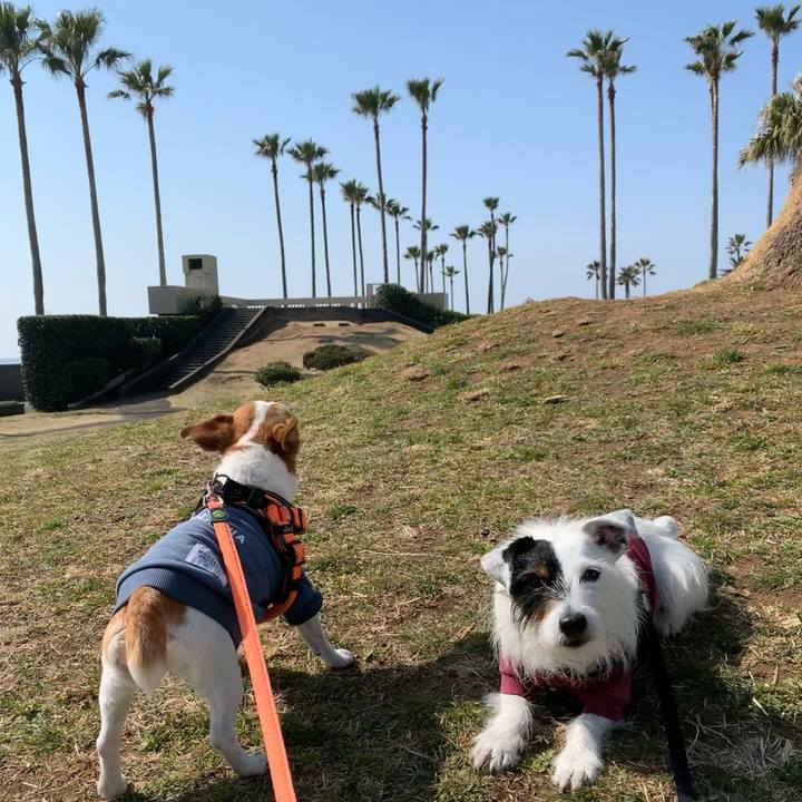 907361e2 e31e 41df 9895 e133554e5153 1647047971013