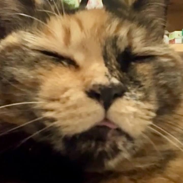 90737280 af92 4cf9 b7c1 4992cc9f69d1 1737685079845