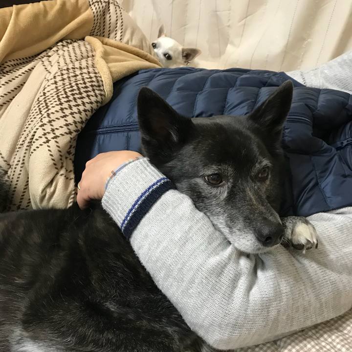 9073b5a3 b839 4cca b9bd 8ff6c36bc0a2 1520337840697