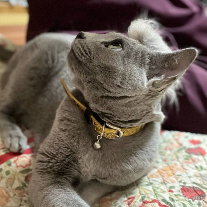 9073b83e 807d 4b8f 995a 71b6f3a49143 1660313338832