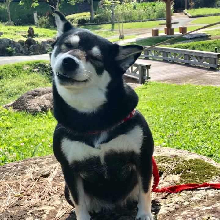 9073c03e 4846 40db 8c1b 743aacd47303 1553773817817