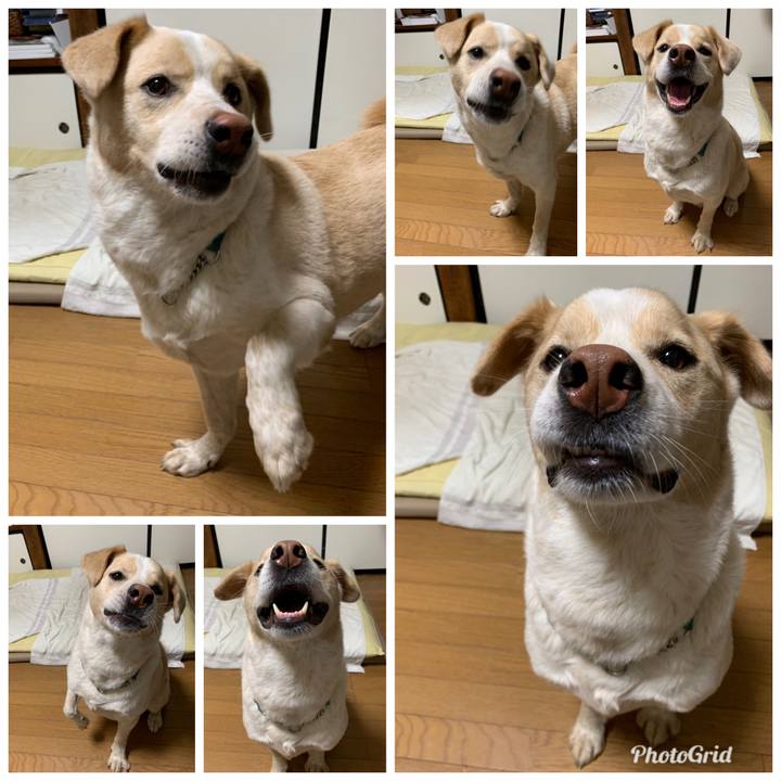 9073fd84 d0b3 408d 99d6 4b7d6628c50c 1560260044120