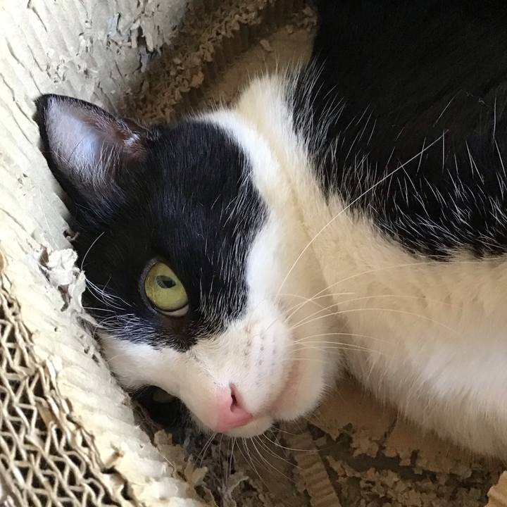 90740641 15d8 4c5b a0dd 3200d10a2f4e 1751108239712