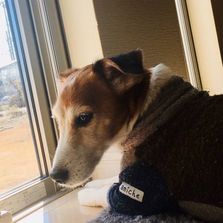 9074213f 0f7f 4e2a 916c d617ffc7dd6d 1583043055103