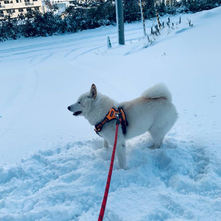 90746b7a db3e 44ba b3a0 c47269d7b4bf 1639355839370