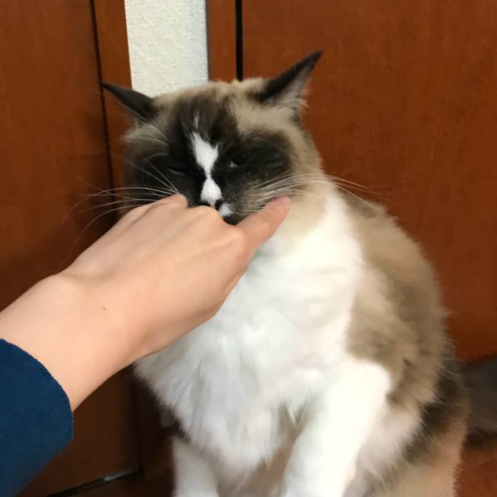 9074818d a02e 48c9 8f36 431f3498180e 1513117823507