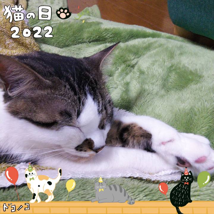 907485b8 a1fa 48ff b462 8689372d9970 1645527163862