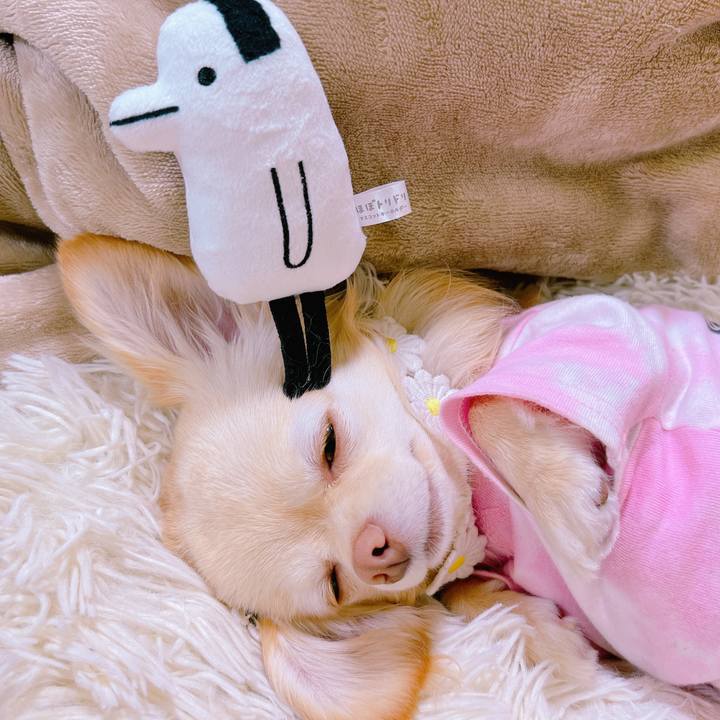 9074d694 03ef 48b6 9c35 f0e0b0712703 1651488277039