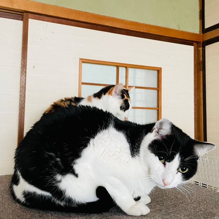 9074db90 01dd 4f6f 8e5b 16bad730af66 1613699919448