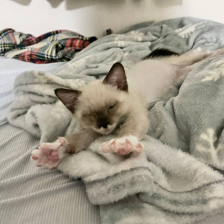 9075166e 80cb 44a2 966b 41011b88d4ff 1664959294283