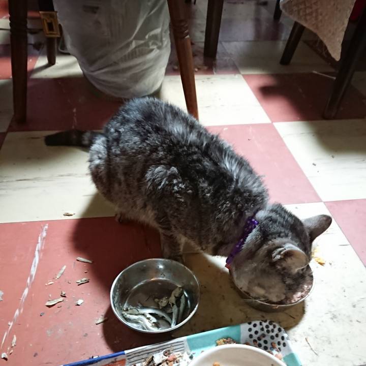 90751d37 8c60 4aef 8ed6 e190d2ad9877 1581333461876