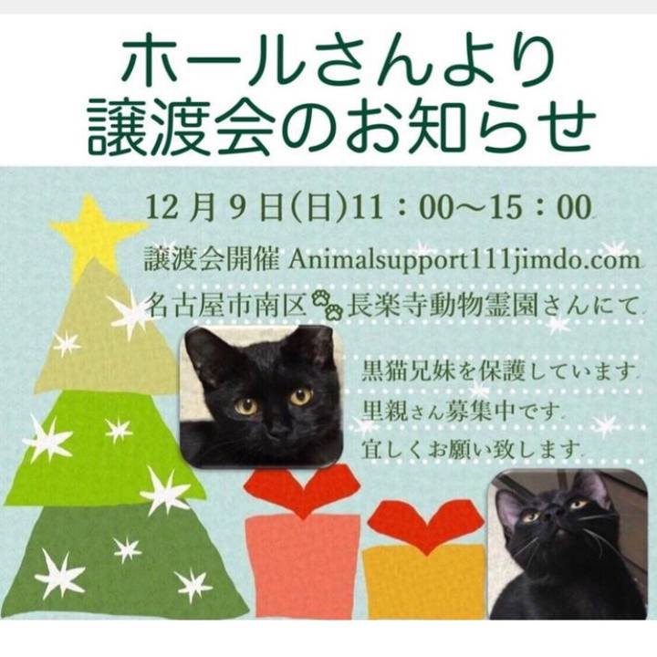 90756995 9b8b 43ab 8df4 64727f56fcc2 1543839730734