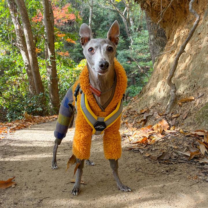 90756f33 8d66 4595 9df8 bf8a5ad80e92 1765881724304